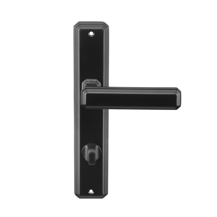 Дверная ручка Archie Genesis SABIO M.BLACK (OL) матовый черный на планке под фиксатор Дверная ручка Archie Genesis SABIO M.BLACK (OL) матовый черный на планке под фиксатор