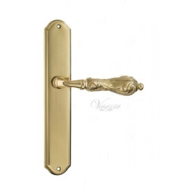 Дверная ручка Venezia MONTE CRISTO на планке PL02 полированная латунь Дверная ручка Venezia MONTE CRISTO на планке PL02 полированная латунь