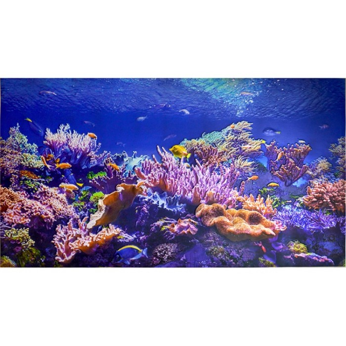 Стеновая панель ПВХ Фартук панно 602x1005 мм коралловый риф