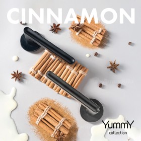 Ручка Armadillo (Армадилло) раздельная R.YM.CINNAMON AC-9 медь