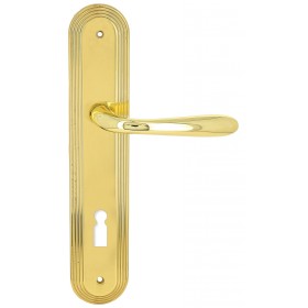 Дверная ручка Extreza ALDO (Альдо) 331 на планке PL05 полированная латунь F01