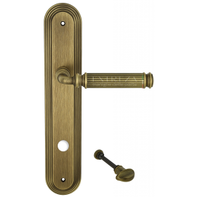 Дверная ручка Extreza BENITO (Бенито) 307 на планке PL05 матовая бронза F03