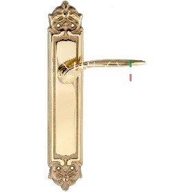 Дверная ручка Extreza CALIPSO (Калипсо) 311 на планке PL02 полированная латунь F01