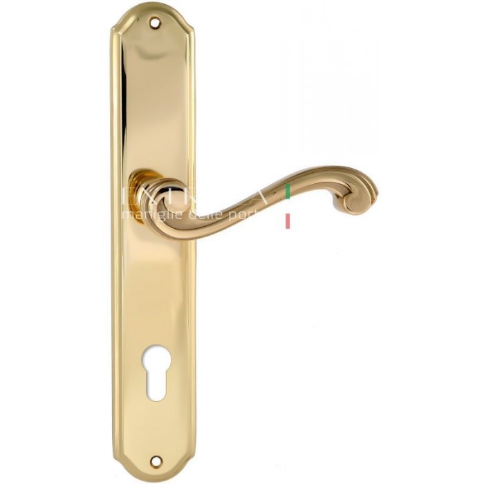 Дверная ручка Extreza LINA (Лина) 313 на планке PL01 CYL полированное золото F01
