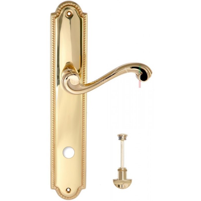 Дверная ручка Extreza LINA (Лина) 313 на планке PL03 WC полированное золото F01