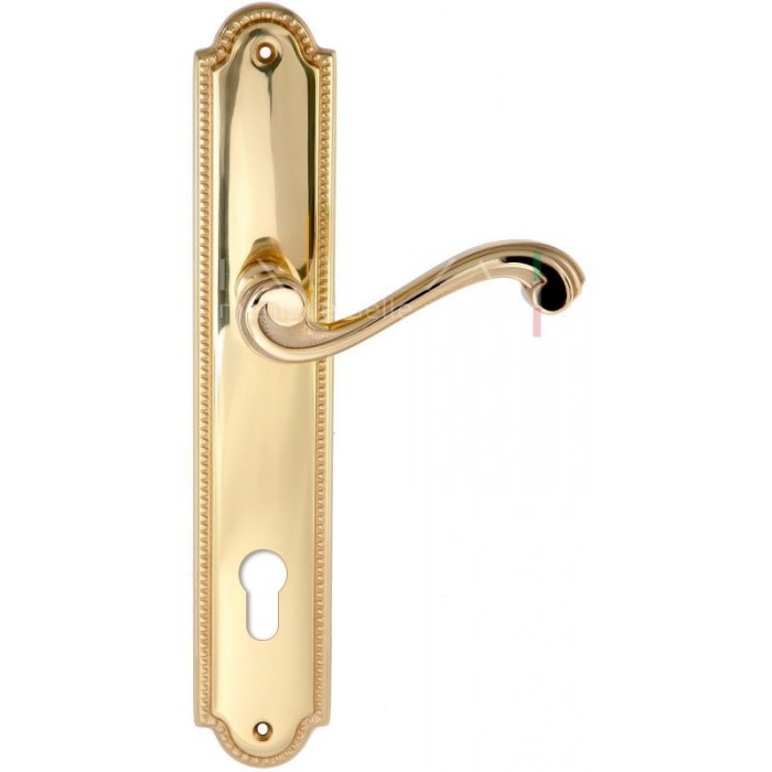 Дверная ручка Extreza LINA (Лина) 313 на планке PL03 CYL полированное золото F01