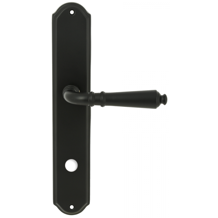 Дверная ручка Extreza PETRA (Петра) 304 на планке PL01 WC черный матовый F22
