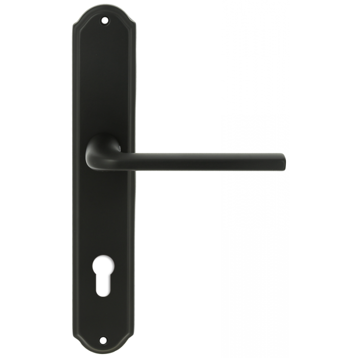 Дверная ручка Extreza TERNI (Терни) 320 на планке PL01 CYL черный матовый F22