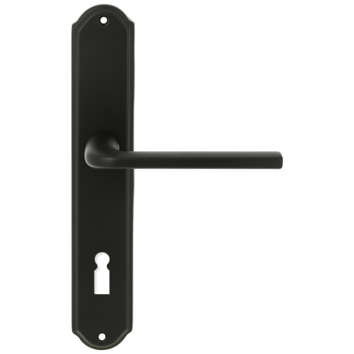 Дверная ручка Extreza TERNI (Терни) 320 на планке PL01 KEY черный F22