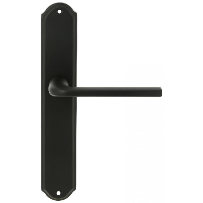 Дверная ручка Extreza TERNI (Терни) 320 на планке PL01 черный матовый F22