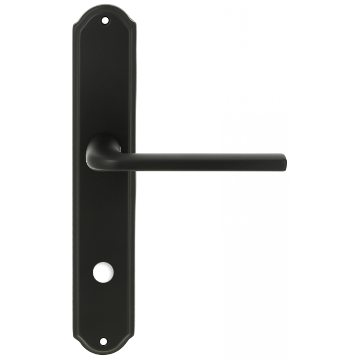 Дверная ручка Extreza TERNI (Терни) 320 на планке PL01 WC черный матовый F22
