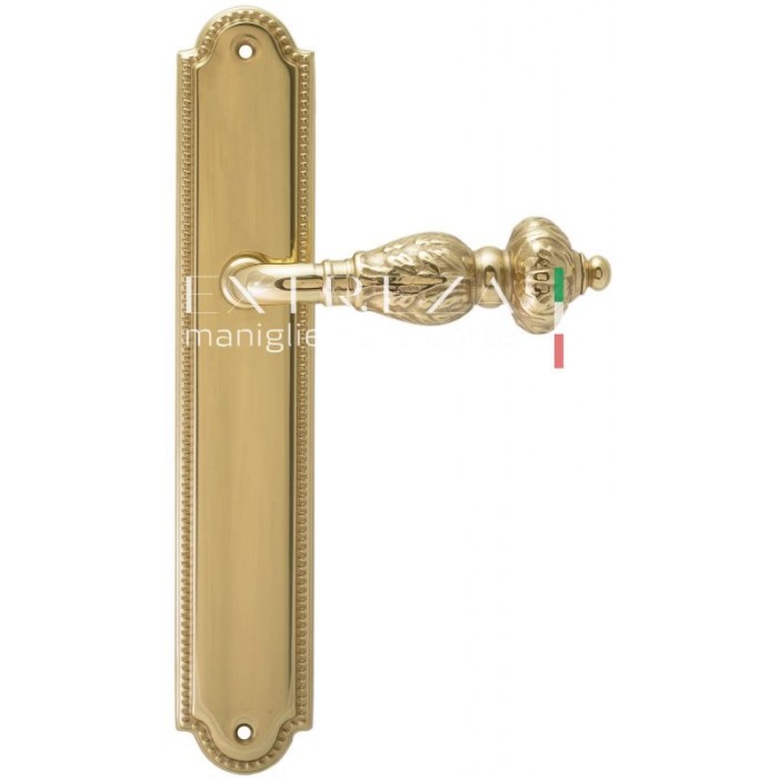 Дверная ручка Extreza TESLA (Тесла) 315 на планке PL03 полированная латунь F01