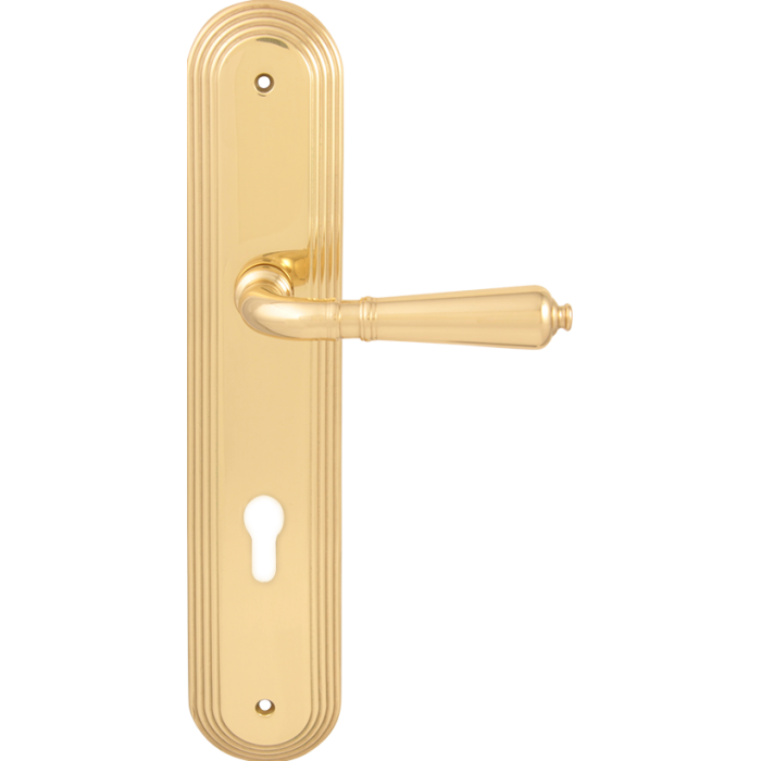 Дверная ручка на планке Melodia 225 Cyl Cagliari на пластине Demetra Полированная латунь