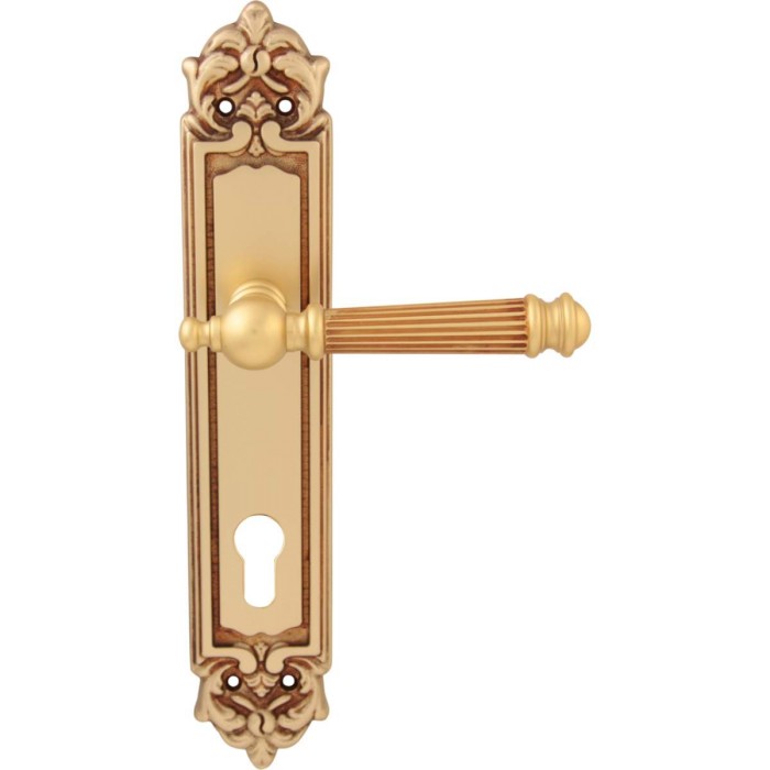 Дверная ручка на планке Melodia 102/229 Cyl Veronica Французское золото