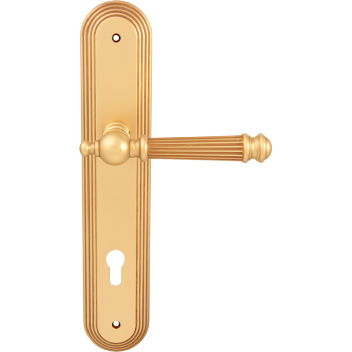 Дверная ручка на планке Melodia 102 Veronica Cyl на пластине Demetra Французское золото