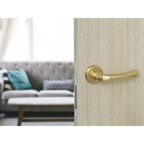 Дверная ручка Palladium Natali SG