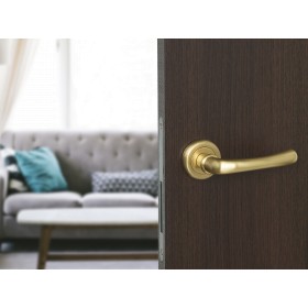 Дверная ручка Palladium Natali SG