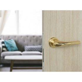 Дверная ручка Palladium Helen GP