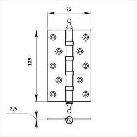 Петля дверная универсальная Palladium N 500 A-S-5