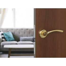 Дверная ручка Palladium Nicole GP