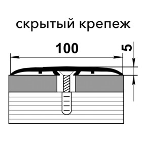 Одноуровневые пороги ПС 06 черный 15